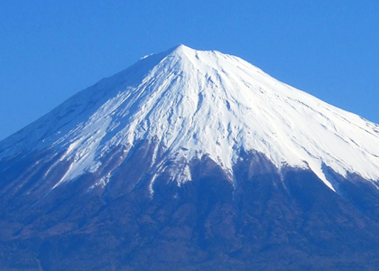 地元静岡で培ったネットワーク